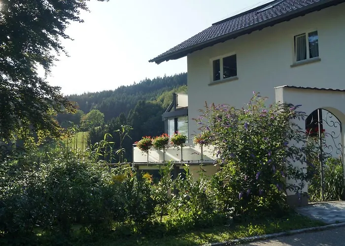 Lägenhet Traumhafte Mit Pool Steinen (Lorrach)